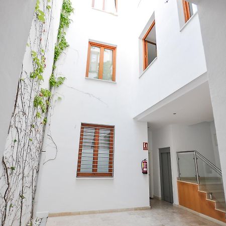 Ferienwohnung Renthas Vid Loft Málaga Exterior foto